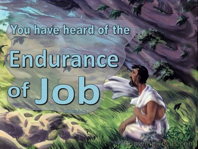 James 5:11 The Endurance Of Job (green)